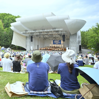 Picnic Concert